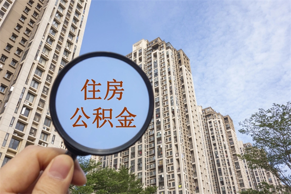梨树县帮助取公积金（代取公积金app）